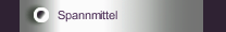 Spannmittel